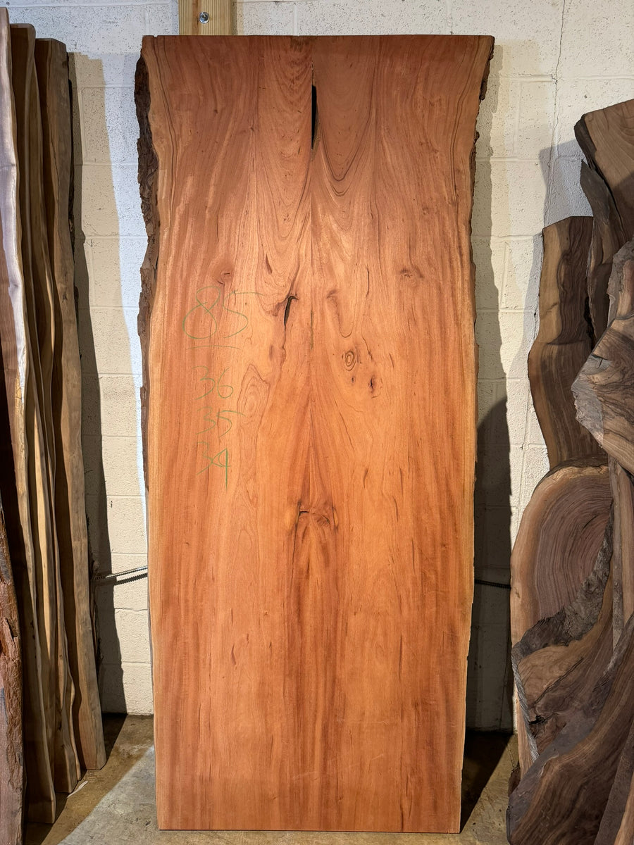 Solid Toona Wood Slab 85