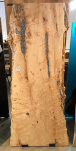 Live edge curly maple 90x33-39 one piece slab epoxy filled